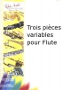 3 Pièces Variables Pour Flûte