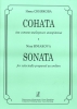 Sonata For Selectedly-Prepared Accordion
