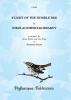 The Flight Of The Bumble Bee (Flûte Quartet) Score And Parts (Le vol du bourdon)