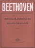 Sonatas For Piano In Separate Editions (Weiner) Op. 10. N 1