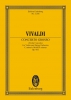 Concerto Grosso C Minor Op. 9/11 Rv 198