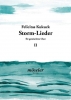 Storm-Lieder Band 2