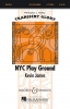Nyc Play Ground