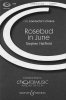 Rosebud In June