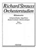 Orchestral Studies: Horn Band 3