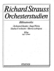 Orchestral Studies: Fluge Band 3