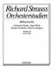 Orchestral Studies: Violin II Band 2