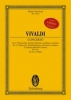 Concerto G Minor Rv 531 (P 411, F III/2)