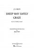 Sheep May Safely Graze