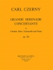 Grande Sérénade Conc. Op. 126