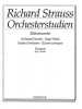 Orchestral Studies : Band 1