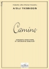 Camino - Concerto Pour Piano Et Orchestre Débutant En La Mineur