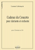 Cadence Du Concerto Pour Clarinette Et Orchestre