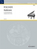 Cadenzas For 7 Piano Concertos Of Wolfgang Amadeus Mozart