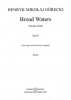 Broad Waters Op. 39