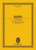 Concerto D Major Op. 101 Hob. VIIb: 2