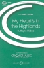 My Heart's In The Highlands