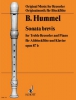 Sonata Brevis Op. 87B