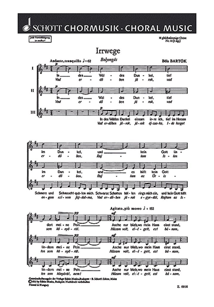 18 Chorlieder 11. Irrwege - Bolyongás