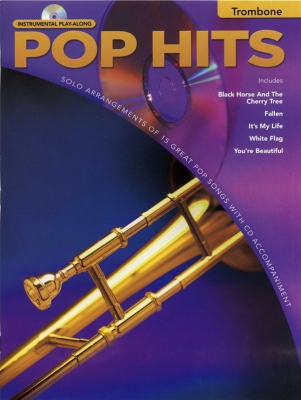 Instrumental Play Along Pop Hits