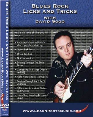 Blues Rock Licks And Tricks With David Gogo