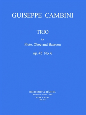 Trio Op. 45 Nr. 6