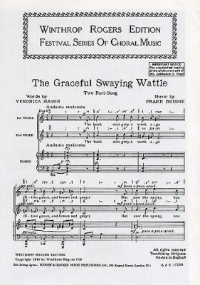 Graceful Swaying Wattle