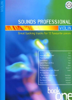 Sounds Professional Violin