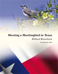 Meeting A Mockingbird In Texas (WESTERLINCK WILFRIED)
