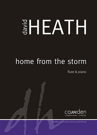 Home From The Storm (HEATH DAVID)