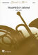 Trumpeter's Dream / Allen Vizzutti (VIZZUTTI ALLEN)