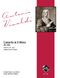 Concerto For Lute, Rv 540 (2 Livres)