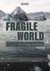 Fragile World for String Orchestra (KNOCKAERT PETER)