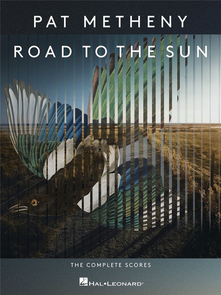 Pat Metheny - Road to the Sun (METHENY PAT)