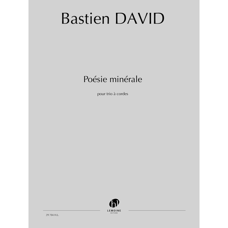 Poésie minérale (DAVID BASTIEN)