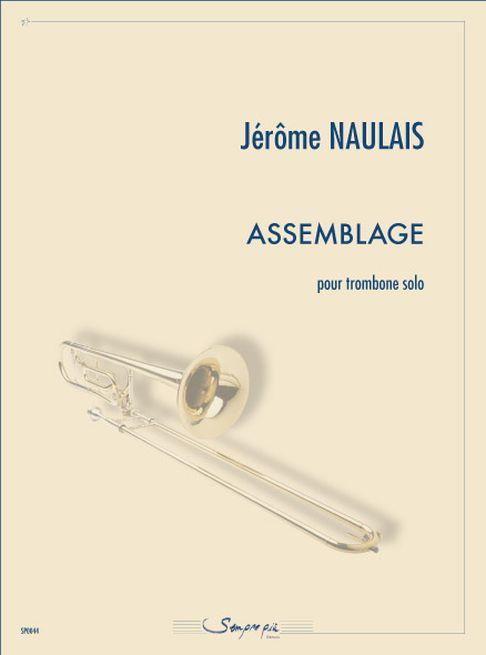 Assemblage (NAULAIS JEROME)