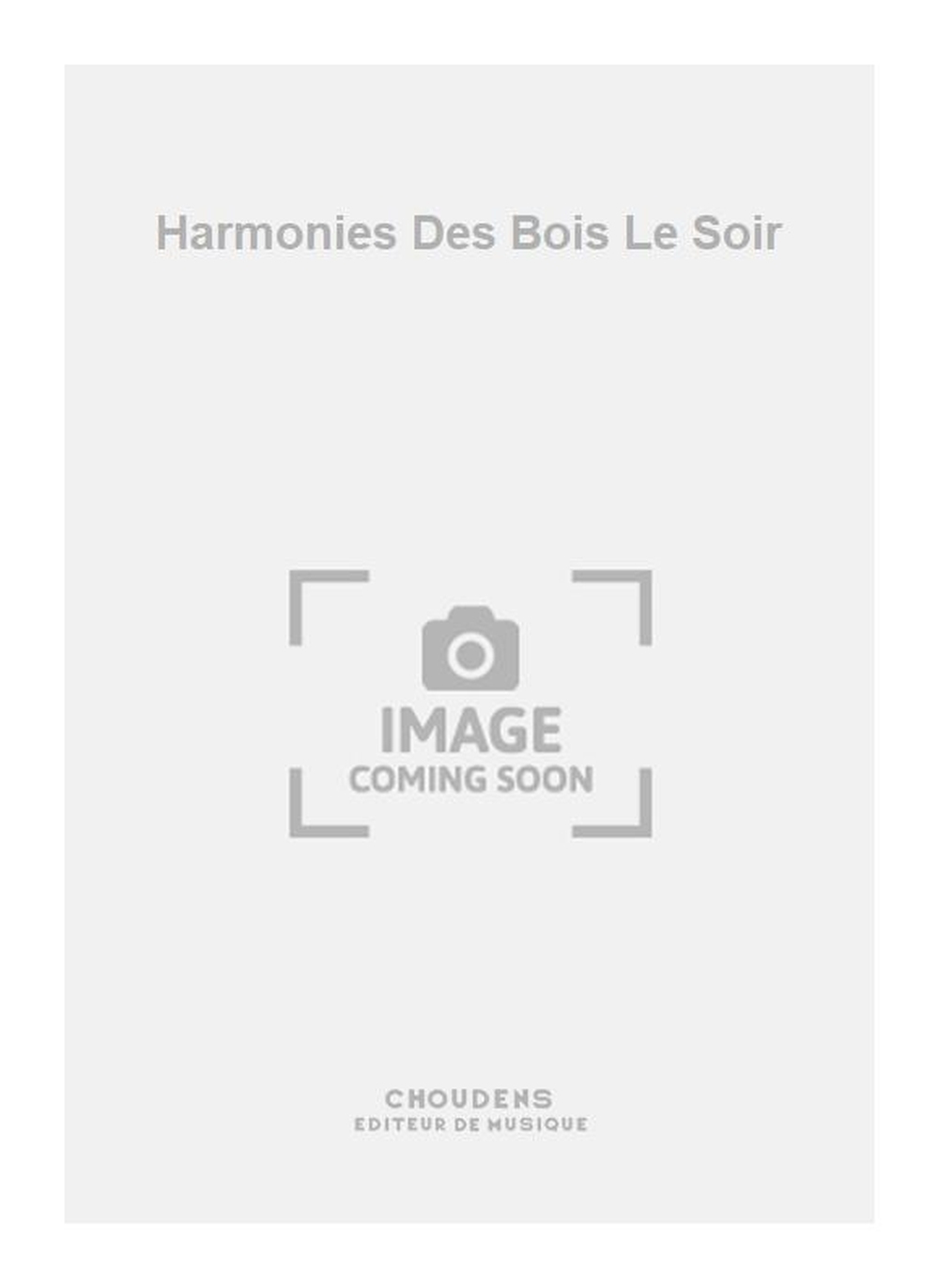 Harmonies Des Bois Le Soir