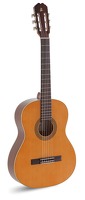 Granada Solid Cedar Guitar: Acoustic Guitar