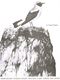 Olivier Messiaen: Catalogue D'Oiseaux  Pour Piano  Livre 2: Piano: Score