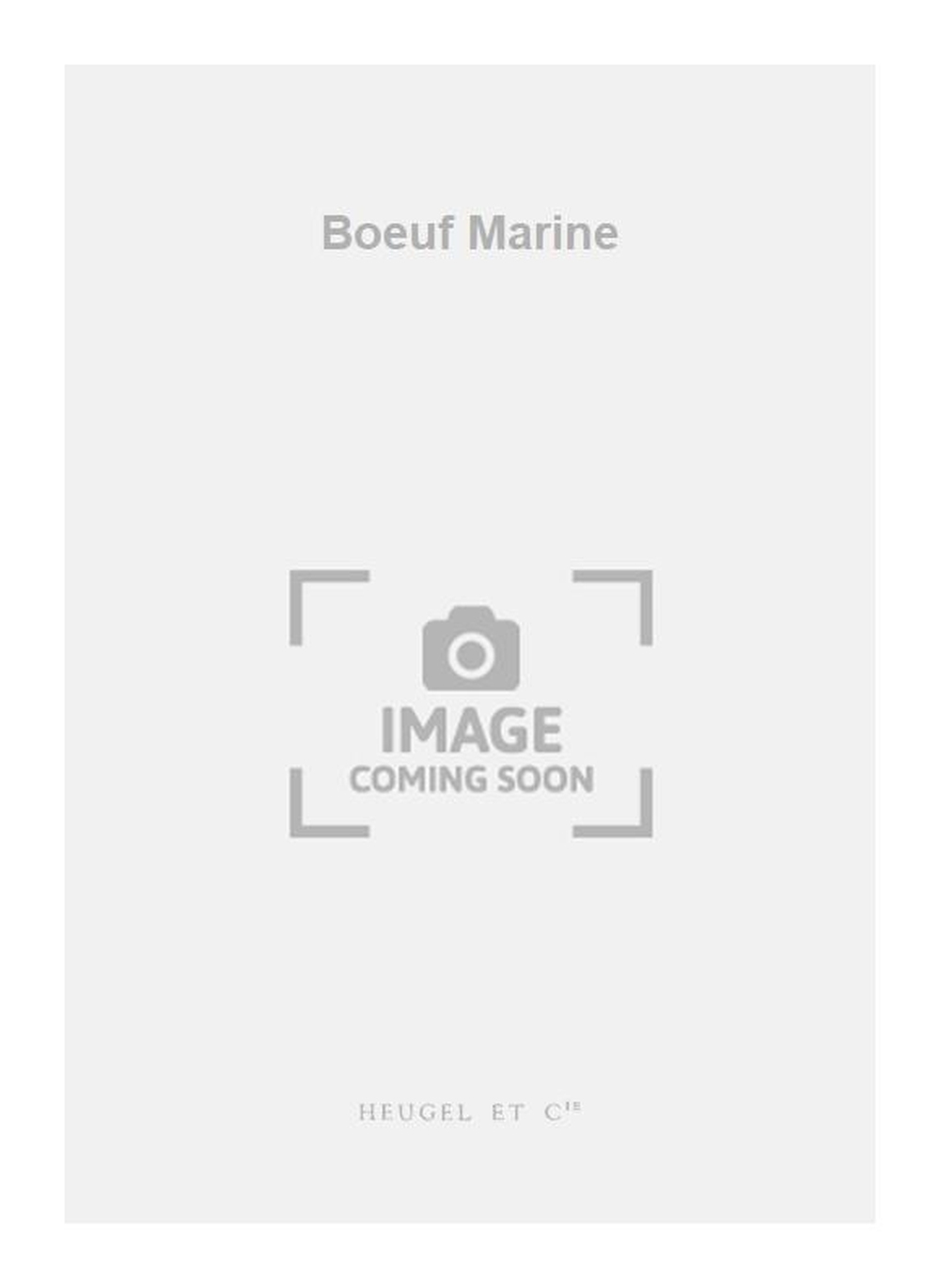 Georges Boeuf: Boeuf Marine