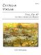 Crt Sojar Voglar: Trio  Op. 67: Wind Ensemble: Instrumental Album