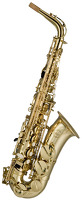 Alto Saxophone Gold Lacquer Outfit: Alto Saxophone
