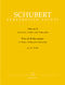 Franz Schubert: Trio In B Flat Major For Piano  Violin & Cello: Piano Trio:
