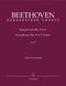 Ludwig van Beethoven: Symphony No.8 In F Op.93: Orchestra: Reference