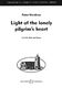 Peter Nardone: Light of the Lonely Pilgrim