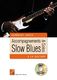 Daniel Pochon: Accompagnements & Solos Slow Blues Guitare: Guitar
