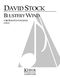 David Stock: Blustery Wind: Double Bass Solo: Instrumental Album