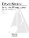 David Stock: Into the Whirlwind: Chamber Ensemble: Score & Parts