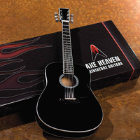 Acoustic Classic Black Finish Model: Ornament