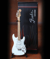 Fender™ Stratocaster™ - Olympic White Finish: Ornament